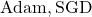 {\text{Adam}, \text{SGD}}