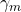 \gamma_m