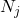N_j