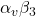 \alpha_v \beta_3