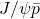 J/\psi \bar{p}