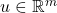 u\in\mathbb{R}^{m}