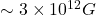 \sim 3 \times 10^{12} G