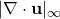 |\nabla \cdot \mathbf{u}|_\infty