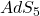 AdS_{5}