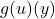g(u)(y)