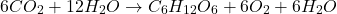 \[6CO_2 + 12H_2O \rightarrow C_6H_{12}O_6 + 6O_2 + 6H_2O\]