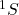 ^1S^