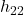 h_{22}