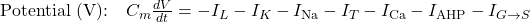 \text{Potential (V):} \quad C_m \frac{dV}{dt} = -I_L - I_K - I_{\text{Na}} - I_T - I_{\text{Ca}} - I_{\text{AHP}} - I_{G \to S}