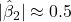 |\hat{\beta}_2| \approx 0.5