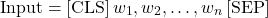 \[\text{Input} = [\text{CLS}]\, w_1, w_2, \ldots, w_n \,[\text{SEP}]\]