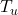 T_{u}