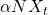 \alpha NX_t