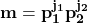 \mathbf{m = p_1^{j_1} p_2^{j_2}}