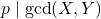 p \mid \gcd(X,Y)