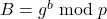 B = g^b \bmod p