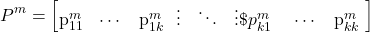 \begin{equation*}P^m=\begin{bmatrix} $p_{11}^m$& \cdots & $p_{1k}^m$ \ \vdots & \ddots & \vdots \$p_{k1}^m$ & \cdots & $p_{kk}^m$ \end{bmatrix}\end{equation*}