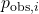 p_{\text{obs},i}
