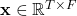 \mathbf{x} \in \mathbb{R}^{T \times F}
