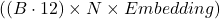 ((B \cdot 12) \times N \times Embedding)