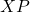 XP