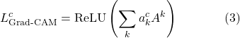 \[L_{\text{Grad-CAM}}^c = \text{ReLU}\left( \sum_k a_k^c A^k \right) \hspace{40pt} (3)\]