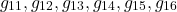 \[g_{11}, g_{12}, g_{13}, g_{14}, g_{15}, g_{16} }\]