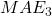 MAE_3