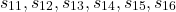 \[s_{11}, s_{12}, s_{13}, s_{14}, s_{15}, s_{16} }\]