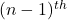 (n-1)^{th}