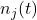 n_{j}(t)