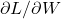 \partial L/\partial W