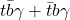 t \bar{b}\gamma + \bar{t}b\gamma