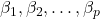 \beta_1, \beta_2, \ldots, \beta_p
