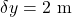\[\delta y = 2 \text{ m}\]