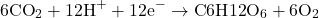 \[6\text{CO}_2 + 12\text{H}^+ + 12\text{e}^- \rightarrow \text{C}6\text{H}{12}\text{O}_6 + 6\text{O}_2\]