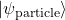 |\psi_{\text{particle}}\rangle