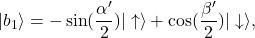 \begin{equation*} |b_1\rangle=-\sin(\frac{\alpha'}{2})|\uparrow\rangle+\cos(\frac{\beta'}{2})|\downarrow\rangle,\end{equation*}