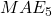 MAE_5