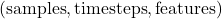 (\text{samples}, \text{timesteps}, \text{features})
