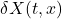 \delta X(t, x)
