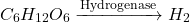 \[C_6H_{12}O_6 \xrightarrow{\text{Hydrogenase}} H_2\]