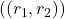 ((r_1, r_2))