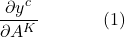 \[\frac{\partial y^c}{\partial A^K} \hspace{40pt} (1)\]