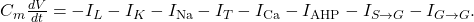 C_m \frac{dV}{dt} = -I_L - I_K - I_{\text{Na}} - I_T - I_{\text{Ca}} - I_{\text{AHP}} - I_{S \rightarrow G} - I_{G \rightarrow G}.