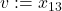v := x_{13}