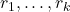 {r_{1}, \ldots,r_{k}}