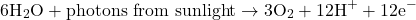 \[6\text{H}_2\text{O} + \text{photons from sunlight} \rightarrow 3\text{O}_2 + 12\text{H}^+ + 12\text{e}^-\]