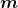 \boldsymbol{m}